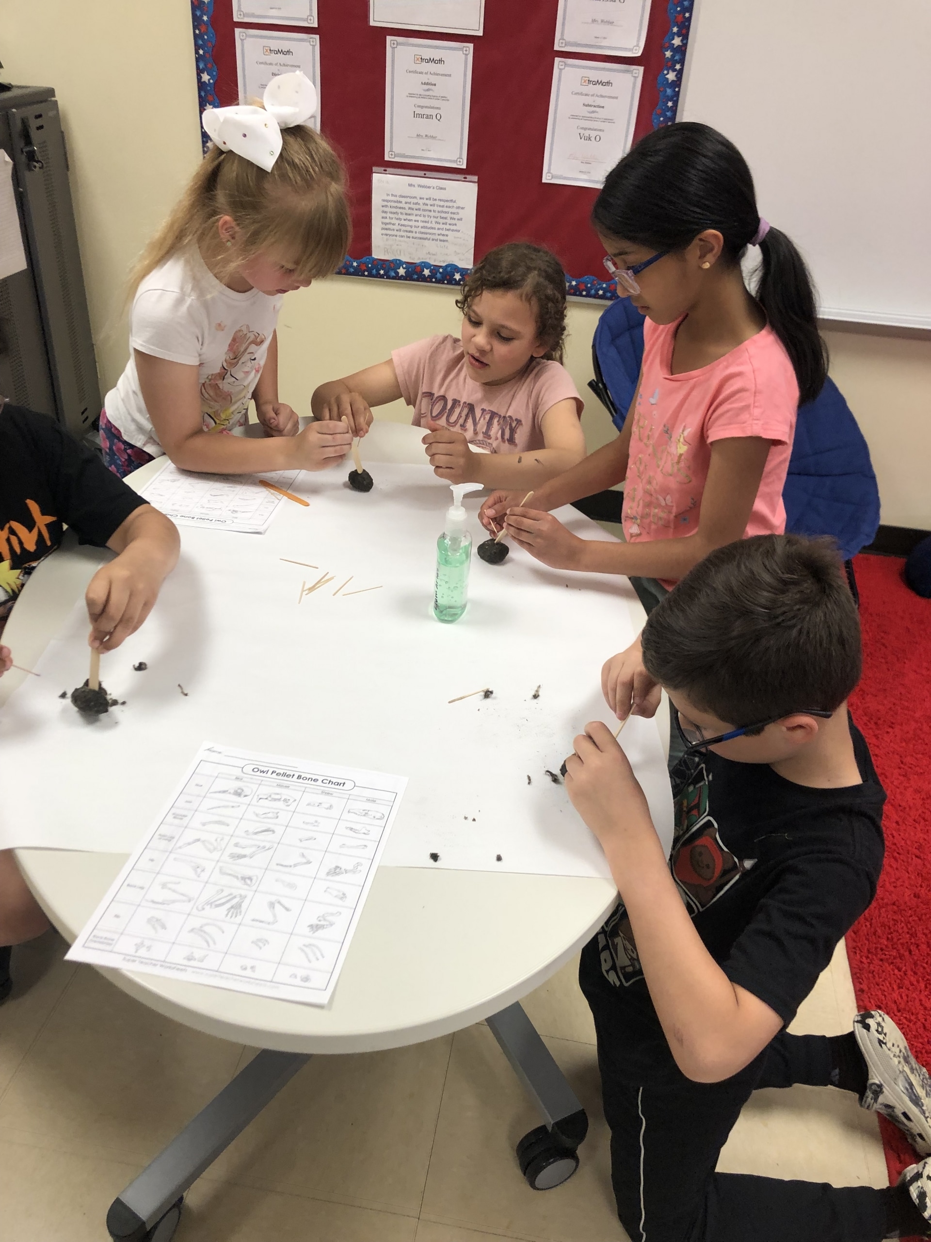 For Mrs. Webber's third grade class, there is nothing quite as fun as dissecting Owl Pellets!